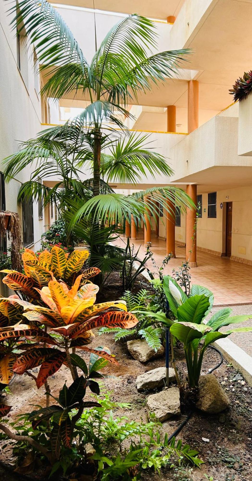 El Medano La Ola. Cabezo Beach 2 Rooms Parking Place Exterior photo